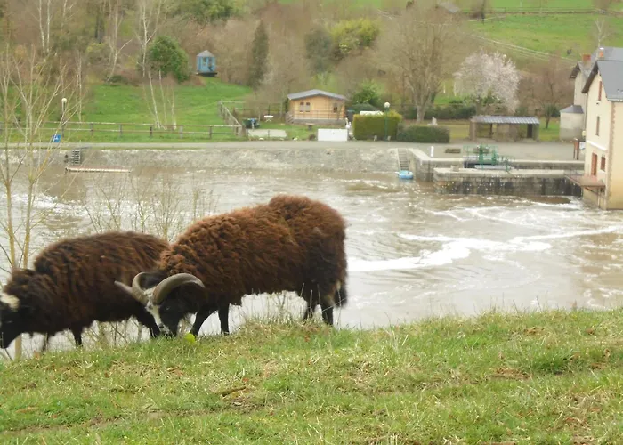 Les D'hôtes Du Parc Couette-café Saint-Sulpice (Mayenne)